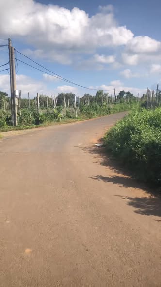 Đất Đỏ Cư Bao Buôn Hồ 5400m² giá 2.7 tỷ - Đường rộng 2 mặt tiền