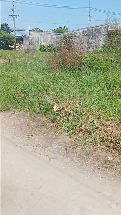 Đất + Nhà tại Đức Lập, Đức Hòa 756m² giá 3 tỷ - Cơ hội đầu tư tuyệt vời!