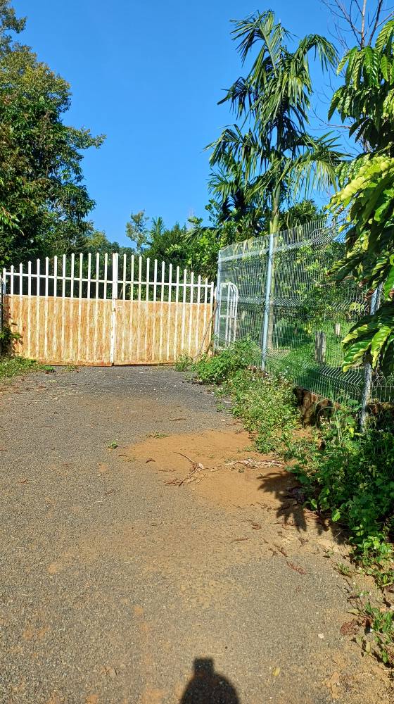 Đất nền Bảo Lộc 165m² giá 1.2 tỷ - Hẻm ô tô thuận tiện