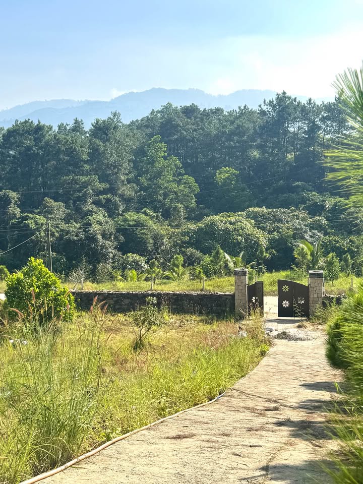 Đất nền Bảo Lộc 1800m² giá 2.44 tỷ - Đầu tư nghỉ dưỡng lý tưởng!