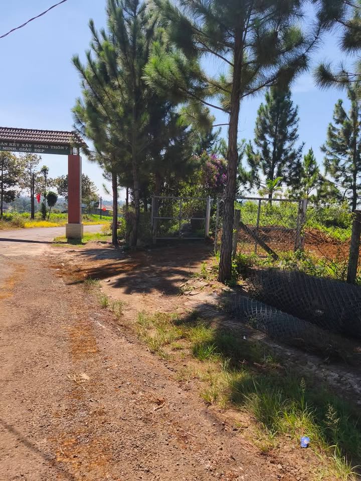 Đất nền Bảo Lộc 507m² giá 2.5 tỷ - Cơ hội đầu tư tuyệt vời!