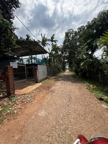 Đất mặt tiền đường D2, xã Ea Tu, Buôn Ma Thuột 100m² chỉ 1.35 tỷ - Đầu tư sinh lời!