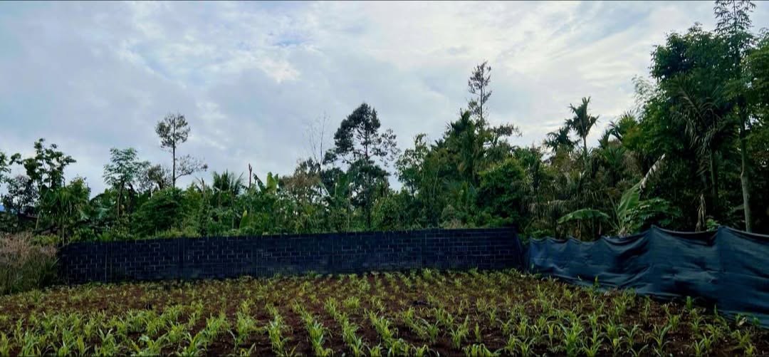 Lô đất 230m² mặt tiền D5 - xã Ea Tu, Buôn Ma Thuột, chỉ 2.27 tỷ - Đầu tư sinh lời ngay!