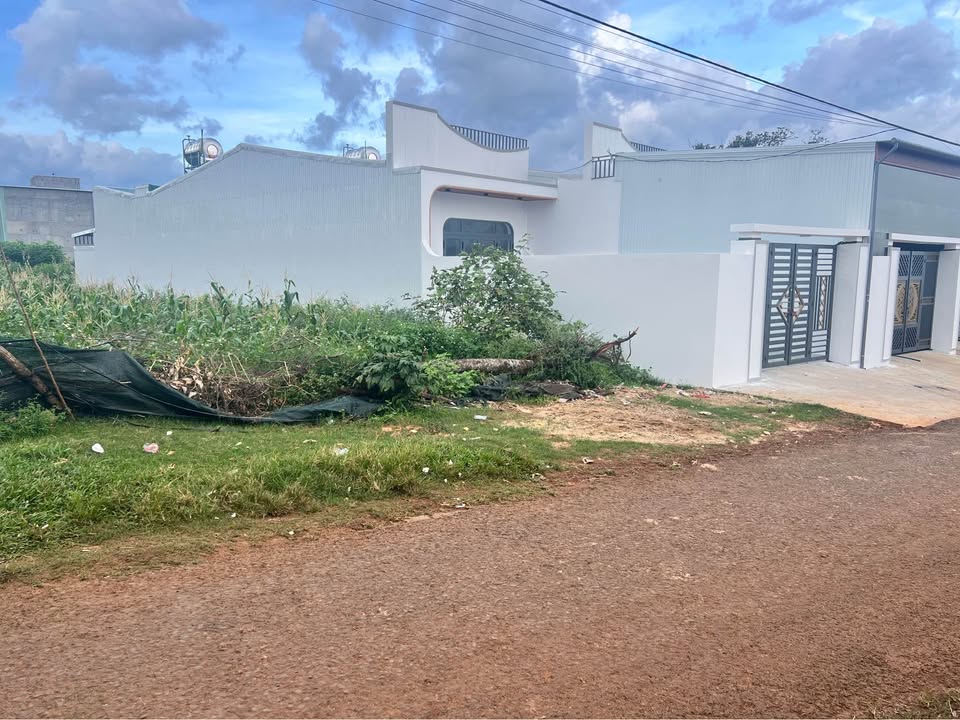 Đất nền chính chủ gần ngã 4 Bùi Viện, 135m² chỉ 590 triệu - Cơ hội vàng đầu tư!