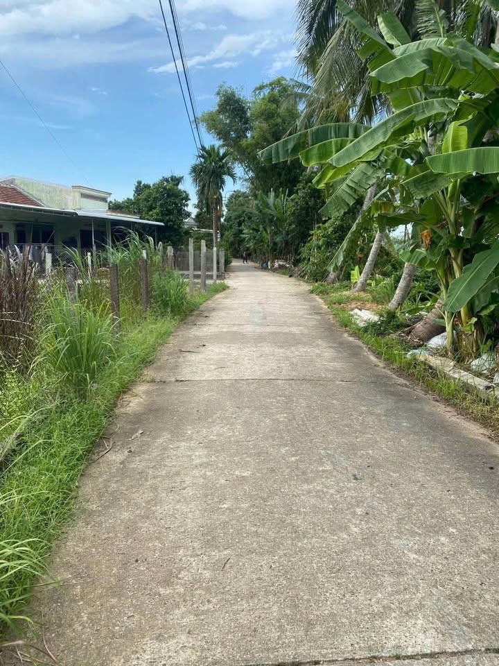 Đất nền lô góc 3 mặt tiền Nghĩa Dõng 154m² giá 800 triệu - Đầu tư sinh lời ngay!