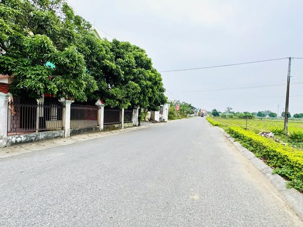 Lô đất 100m² xã Hồ Vương, Nga Sơn chỉ 900 triệu - Đầu tư sinh lời!