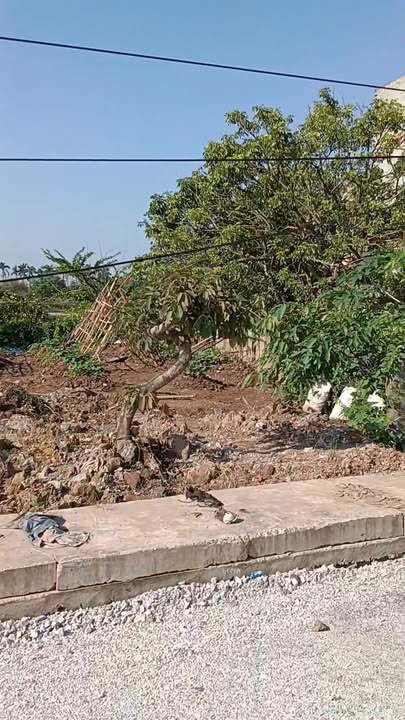 Đất nền Giao Hà 230m² giá 3 tỷ - Đường chính, đầu tư sinh lời!