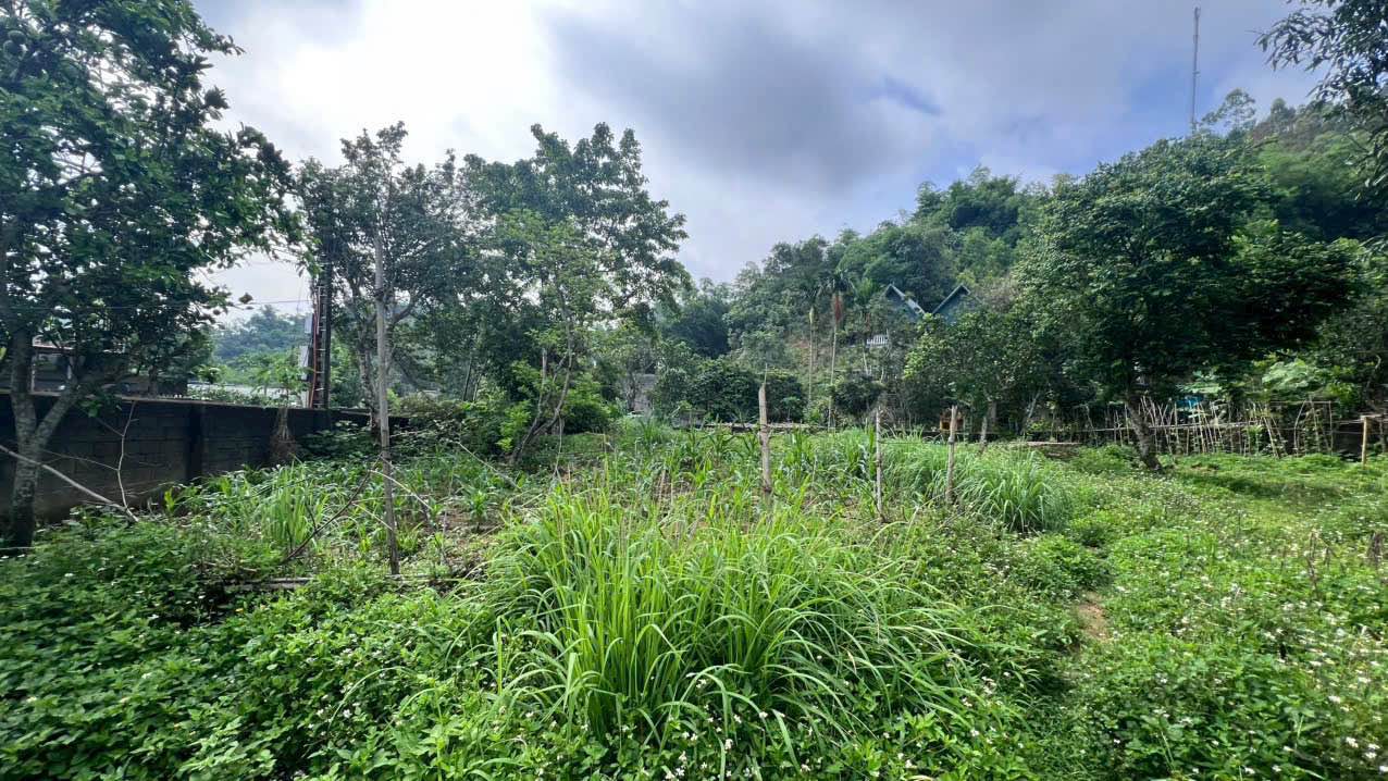 Đất thổ cư Mông Hóa, Hòa Bình 724m² giá chỉ 3 tỷ - Tiềm năng đầu tư lớn!