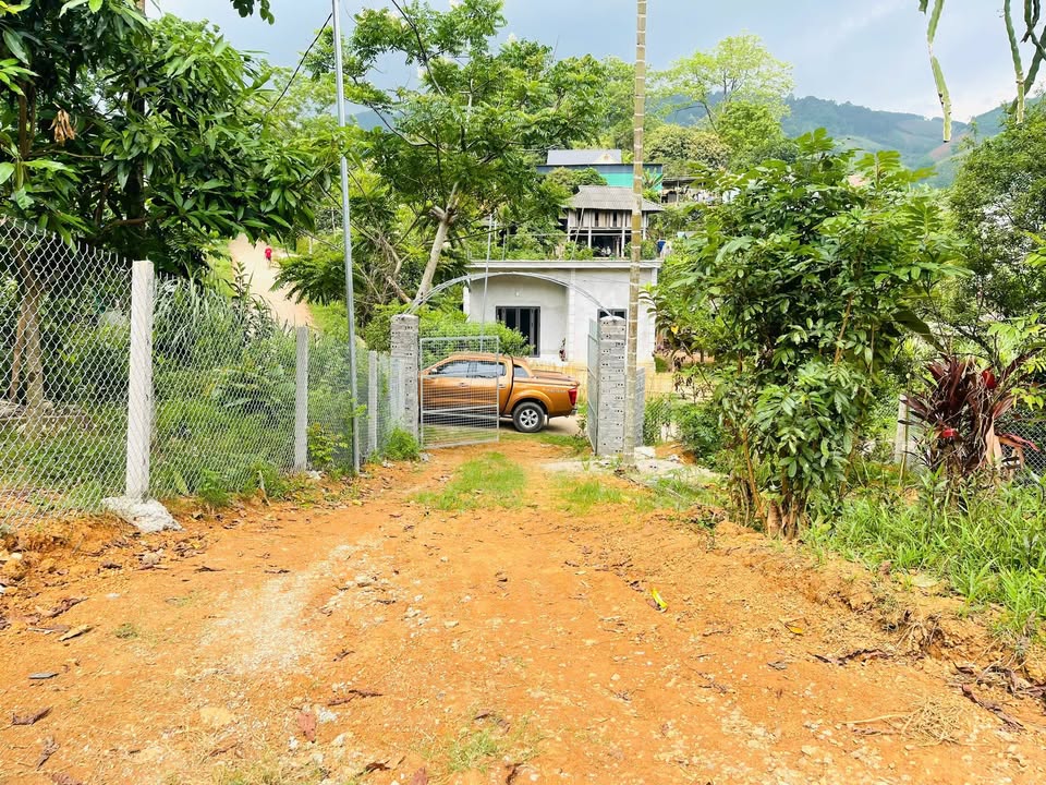 Mảnh vườn 3.000m² tại Cao Phong, Hòa Bình - Cơ hội đầu tư lý tưởng!