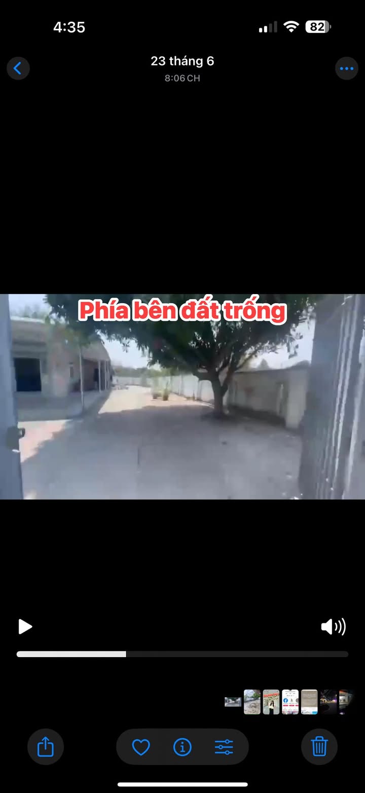 Đất nền khu vực Xóm Mới 1, Gò Dầu 480m² chỉ 900 triệu - Đường xe hơi thông thoáng!