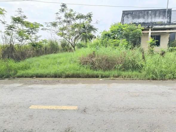 Đất nền mặt tiền ĐT871, xã Bình Ân, Gò Công Đông 184m² - Giá chỉ 700 triệu!