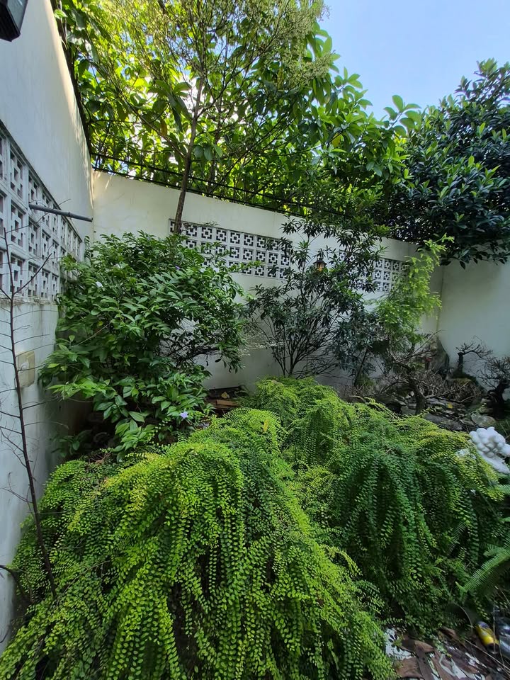 Biệt thự sân vườn 110m² Hoàng Diệu 2 Thủ Đức giá 6 tỷ - Không thể bỏ lỡ!