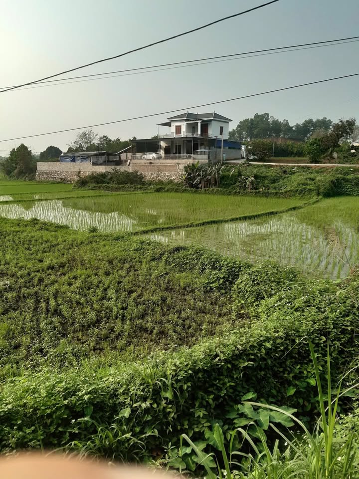 Đất nền Phường Quyết Thắng 1000m² - Bán gấp kèm nhà 3 tầng!