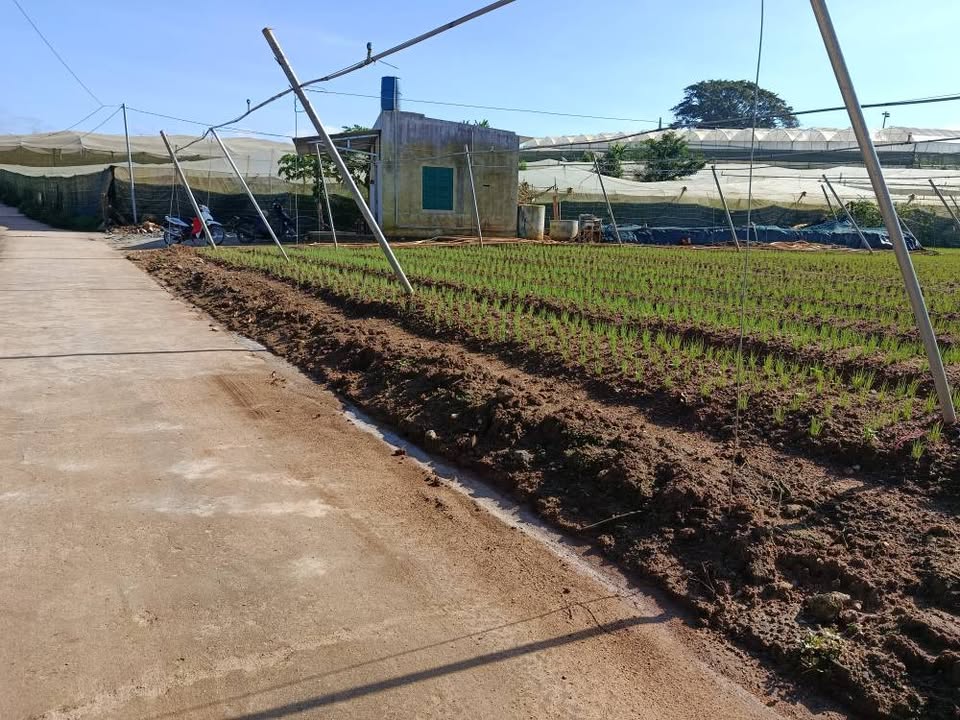 Đất 5 sào tại xã Ka Đô, Đơn Dương, Lâm Đồng giá 14.4 tỷ - Mặt tiền bê tông 120m!