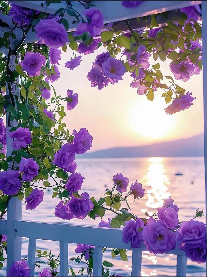 Nhà mới bán gấp tại phường An Hội, Bến Tre - Diện tích 75m² chỉ 850 triệu!