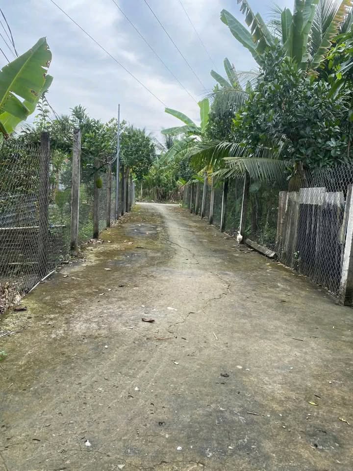 Đất thổ cư Phước Thạnh, Mỹ Tho 90m² giá 450 triệu - Đường ô tô rộng rãi!