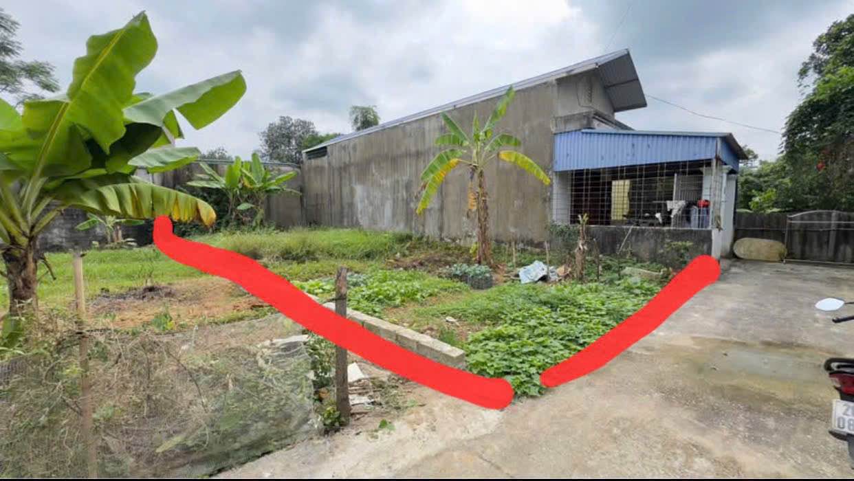 Lô đất Phường Thịnh Đán 140m² giá 1.7 tỷ - Vị trí thuận lợi gần bệnh viện!