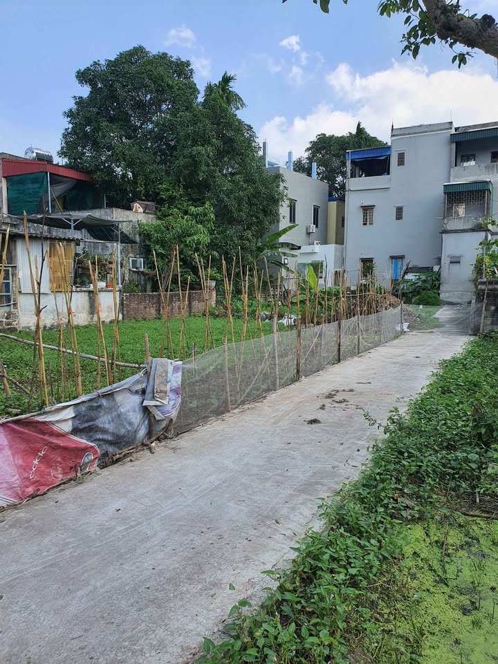 Đất nền thôn Lộng Đồng, Lộc An 50m² giá 800 triệu - Cơ hội đầu tư tuyệt vời!