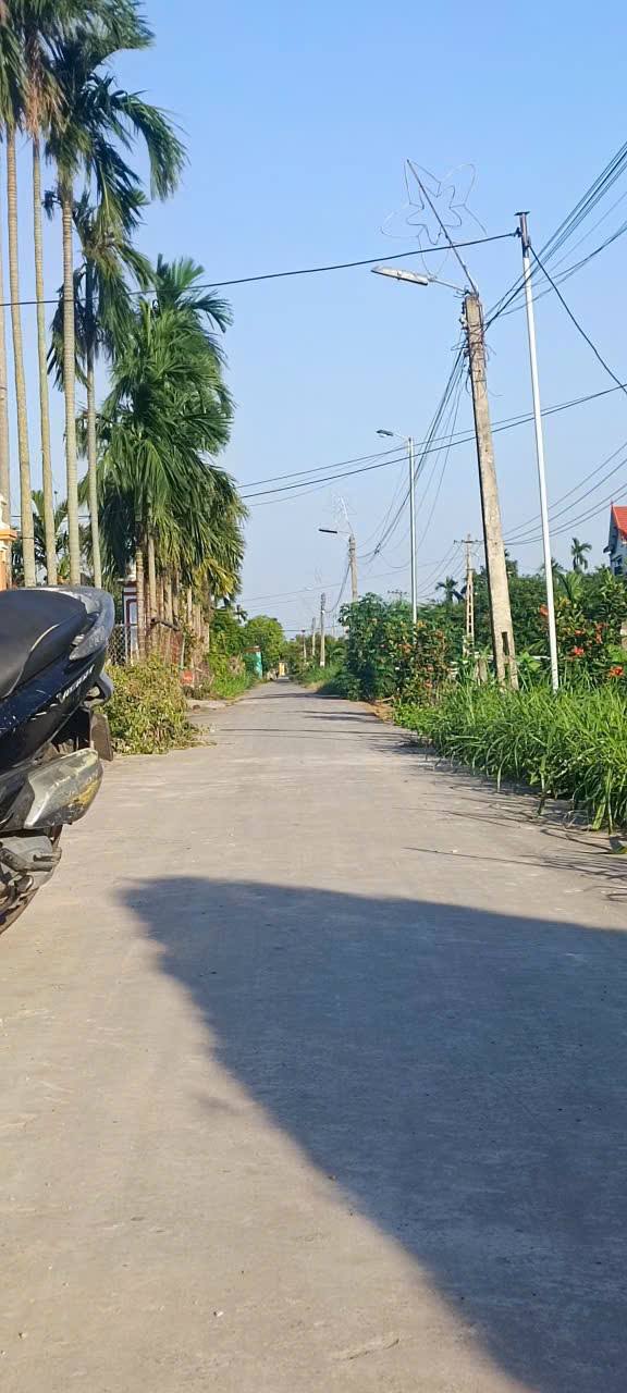Đất nền Hải Xuân Hải Hậu 320m² giá thỏa thuận - Lô góc 2 mặt tiền đường ô tô vào tận nơi!