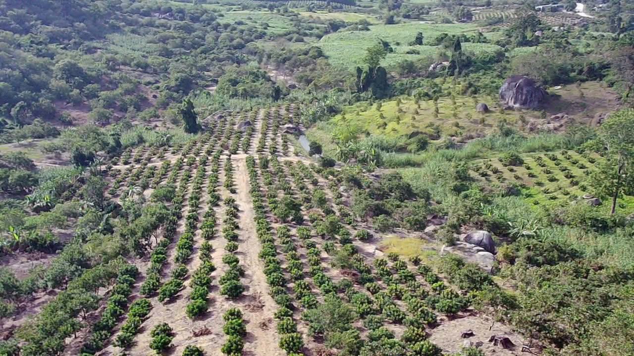 Đất nông nghiệp 9ha tại Cư Prao, M’Đrăk - Đắk Lắk giá 3.3 tỷ - Tiềm năng phát triển lớn!