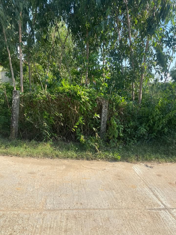 Đất Lô Góc Phú Hiệp 3 198m² giá 3.85 tỷ - Cơ hội đầu tư sinh lời!