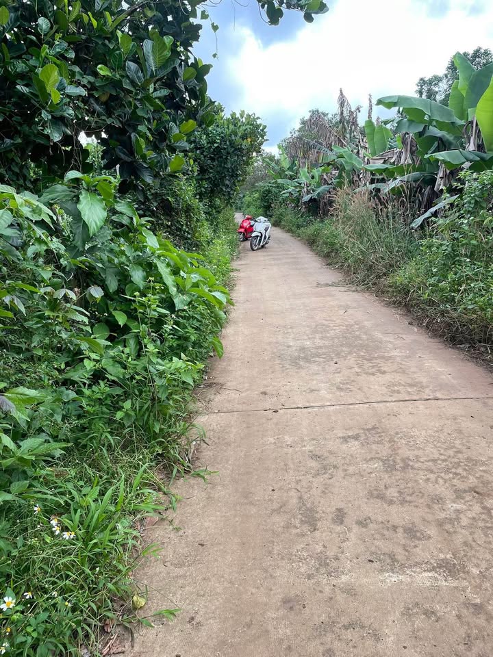 Đất nền Tân Phú Đồng Nai 1000m² giá 650 triệu - Cơ hội đầu tư tốt!