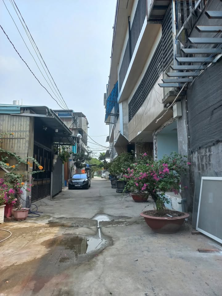 Đất hẻm 5m Lê Thị Dung, Bình Chánh 56m² giá 320 triệu - Cơ hội đầu tư hấp dẫn!