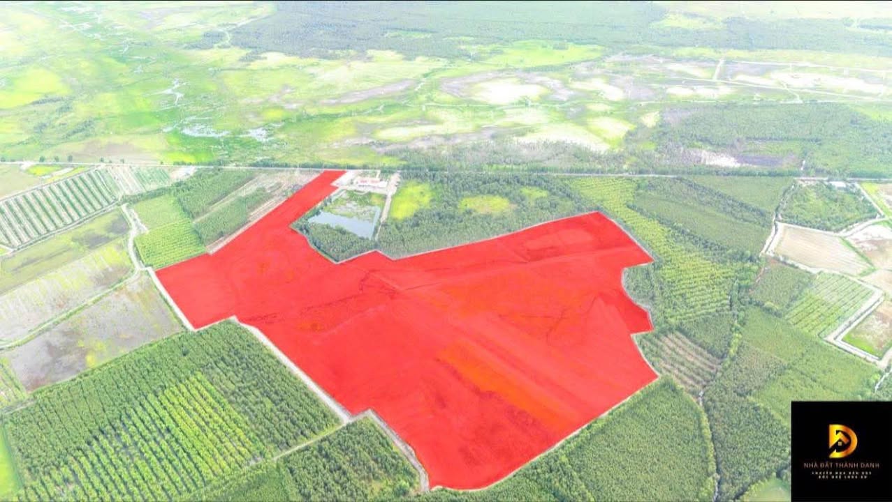 Đất nền tại Ấp Vinh, Xã Đông Thành, Tây Ninh 17ha giá chỉ 1 tỷ - Cơ hội đầu tư hấp dẫn!