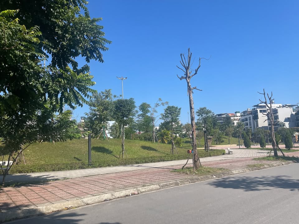 Nhà 7 tầng Ngọc Thụy Long Biên 65m² giá 24 tỷ - Vị trí kim cương kinh doanh!