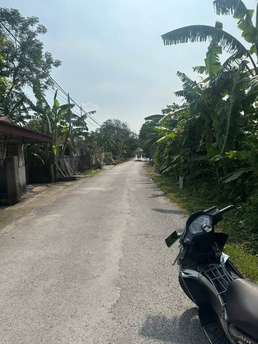 Đất nền xã Bồ Đề, Bình Lục 225m² - Sổ đỏ chính chủ, giá thỏa thuận hấp dẫn!