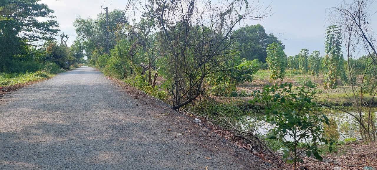 Đất vườn đẹp tại Qui Đức, Bình Chánh 10.497m² giá chỉ 4.6 tỷ - Cơ hội đầu tư tuyệt vời!