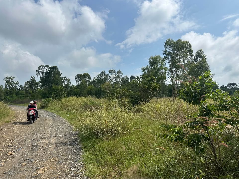 Đất Farm 5ha Phường Tiến Thành, Phan Thiết chỉ 1xx triệu/sào - Cơ hội đầu tư hấp dẫn!