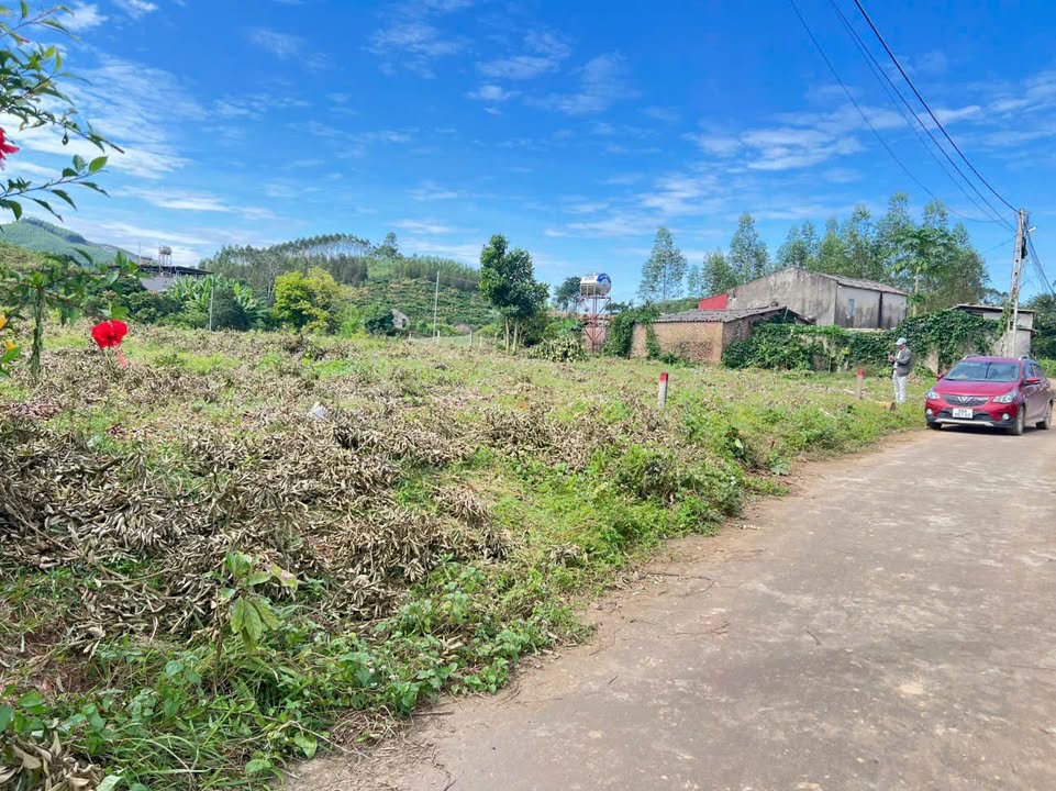 Đất nền Lục Nam 480m² giá chỉ 500 triệu - Mặt tiền 10m, vị trí đắc địa!