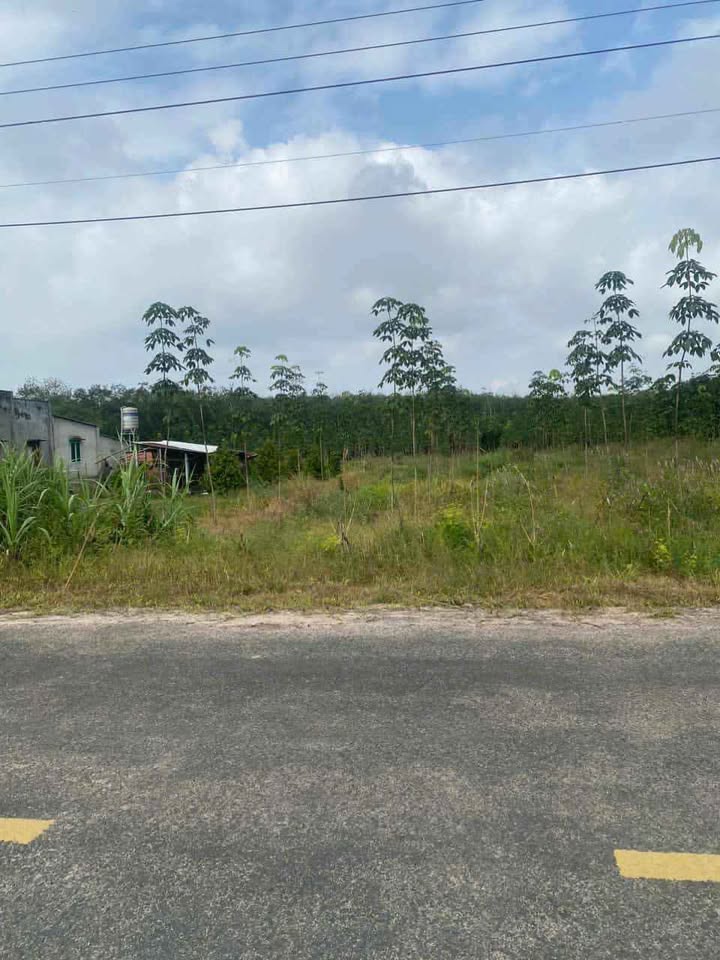 Đất mặt tiền DH519, Phước Thành, 250m² giá 500 triệu - Cơ hội đầu tư không thể bỏ lỡ!