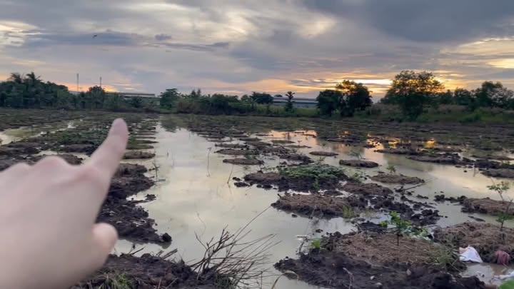 Đất nền 1.2 Hecta Bình Chánh giá chỉ 36 tỷ - Cơ hội đầu tư hiếm có!