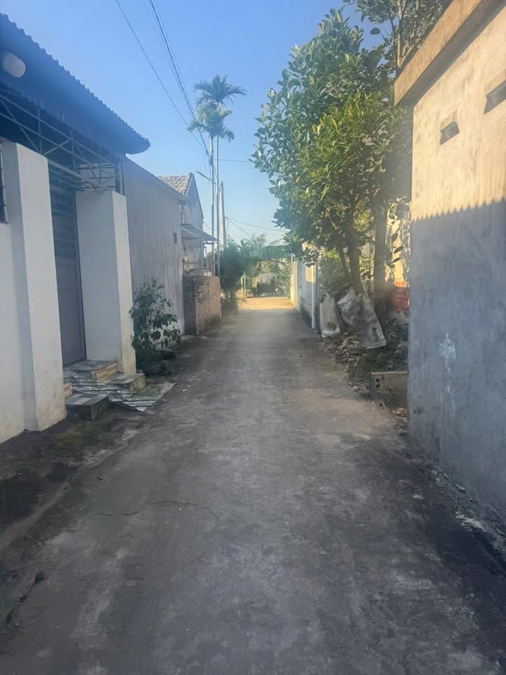 Đất lô góc 61.7m² tại Hữu Bằng, Kiến Thụy - Giá chỉ 700 triệu - Cơ hội đầu tư tốt!