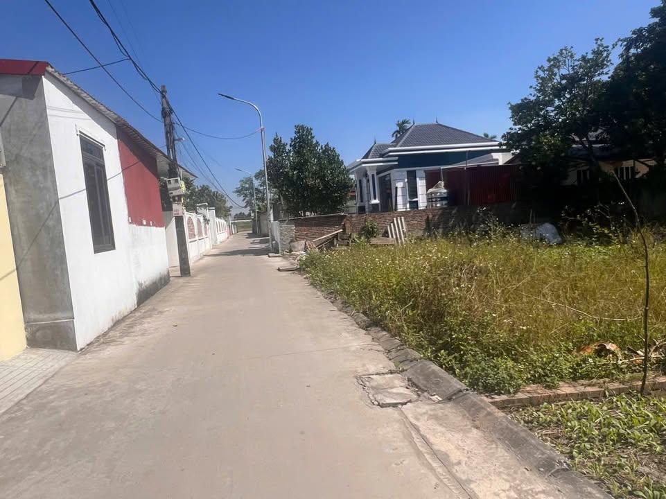 Đất thổ cư Cát Tiên An Lão 60m² giá chỉ 600 triệu - Cơ hội đầu tư tuyệt vời!