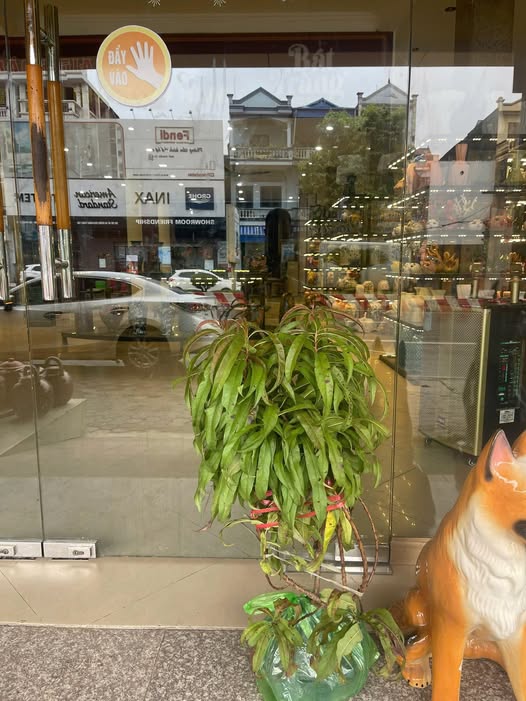 Đất thổ cư 230m² Gia Sàng, Thái Nguyên giá 4 tỷ - Vị trí đẹp, xây biệt thự lý tưởng!