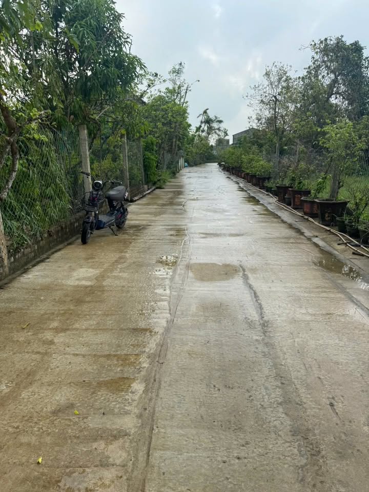 Đất Hồng Liên, Nghi Liên 140m² giá 2 tỷ - Đường ô tô tránh nhau, cơ hội đầu tư tuyệt vời!