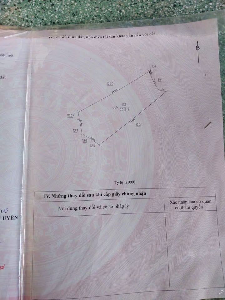Đất sổ riêng Thái Hòa 2916m² giá 7.29 tỷ - Cơ hội đầu tư hấp dẫn!