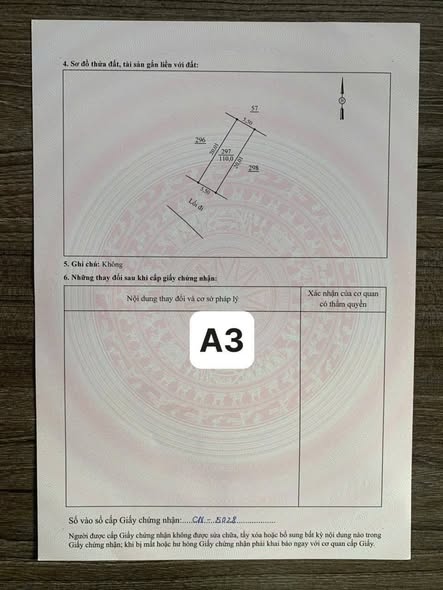 Đất nền Hiền Quan, Tam Nông 110m² giá chỉ 2xx triệu - Cơ hội đầu tư hiếm có!