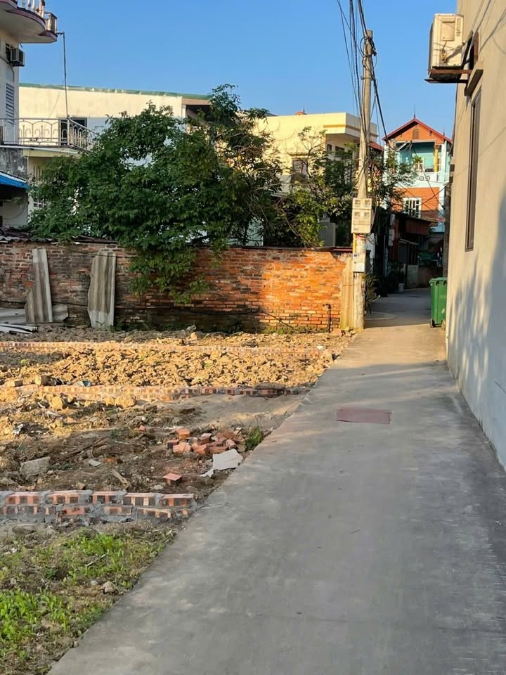 Đất nền 45m² tại thôn Hoàng Nha, Lạc Đạo - Cơ hội đầu tư giá tốt!