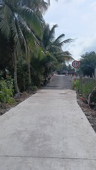 Đất nền Tân Hội Cai Lậy 100m² giá chỉ 500 triệu - Cơ hội đầu tư sinh lời!