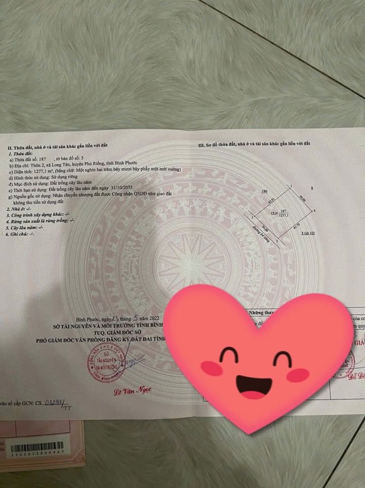 Đất thổ cư 1200m² tại thôn 2, xã Long Tân chỉ 600 triệu - Cơ hội đầu tư tuyệt vời!