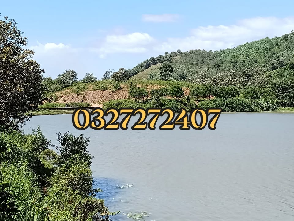 Đất nông nghiệp Đam Rông 12.000m² giá 1 tỷ - Cơ hội đầu tư hấp dẫn!