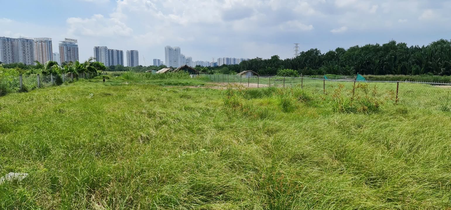 Đất thổ vườn 1.000m² tại Phạm Hữu Lầu, Nhà Bè - Sổ hồng riêng, giá chỉ 15 tỷ!