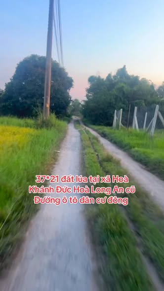 Đất nền xây nhà vườn tại xã Hòa Khánh Đức Hòa 777m² giá 2.886 tỷ - Cơ hội đầu tư hấp dẫn!