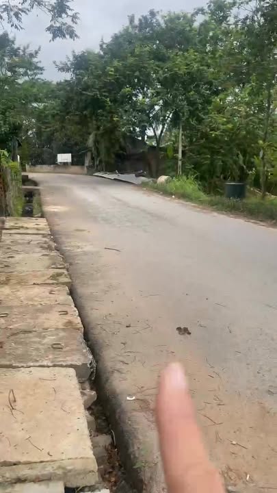 Đất thổ cư 80m² tại Hoàng Hoa, Tam Dương - Giá tốt, đầu tư sinh lời!