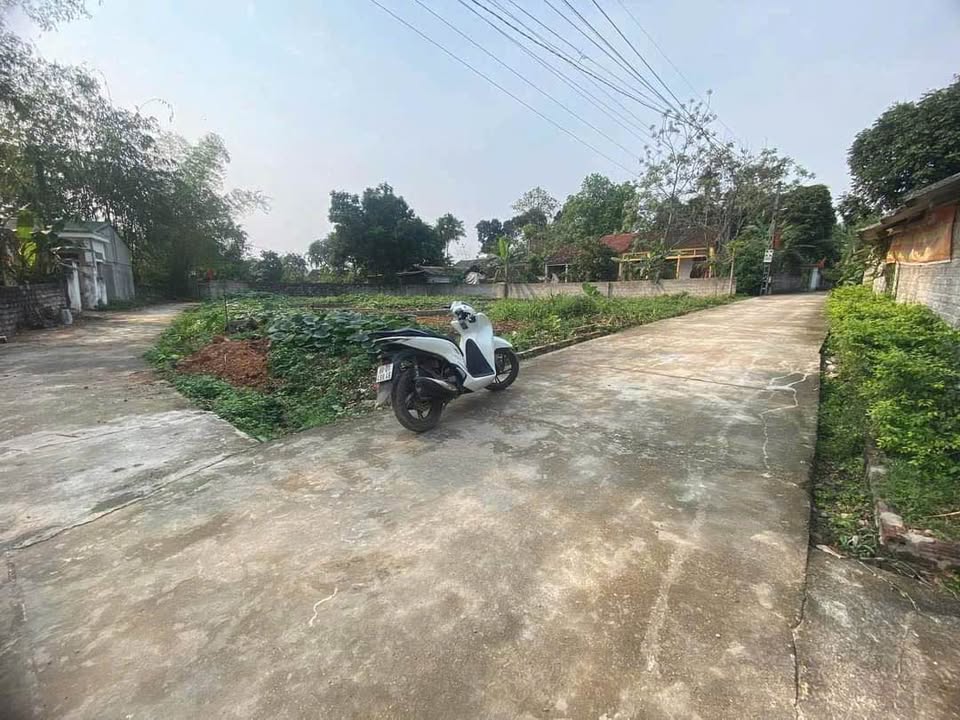 Đất nền lô góc Bắc Bình Lập Thạch 202m² giá 800 triệu - Đường thông thoáng, gần KCN!