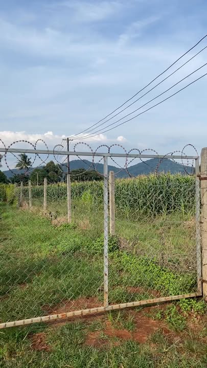 Đất thổ cư 100m² tại Thôn Hoà An, Đắk Lắk - Giá chỉ 900 triệu VND, thương lượng!